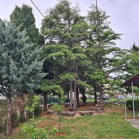 Letovisce Primarija Kurta Kanclerja *